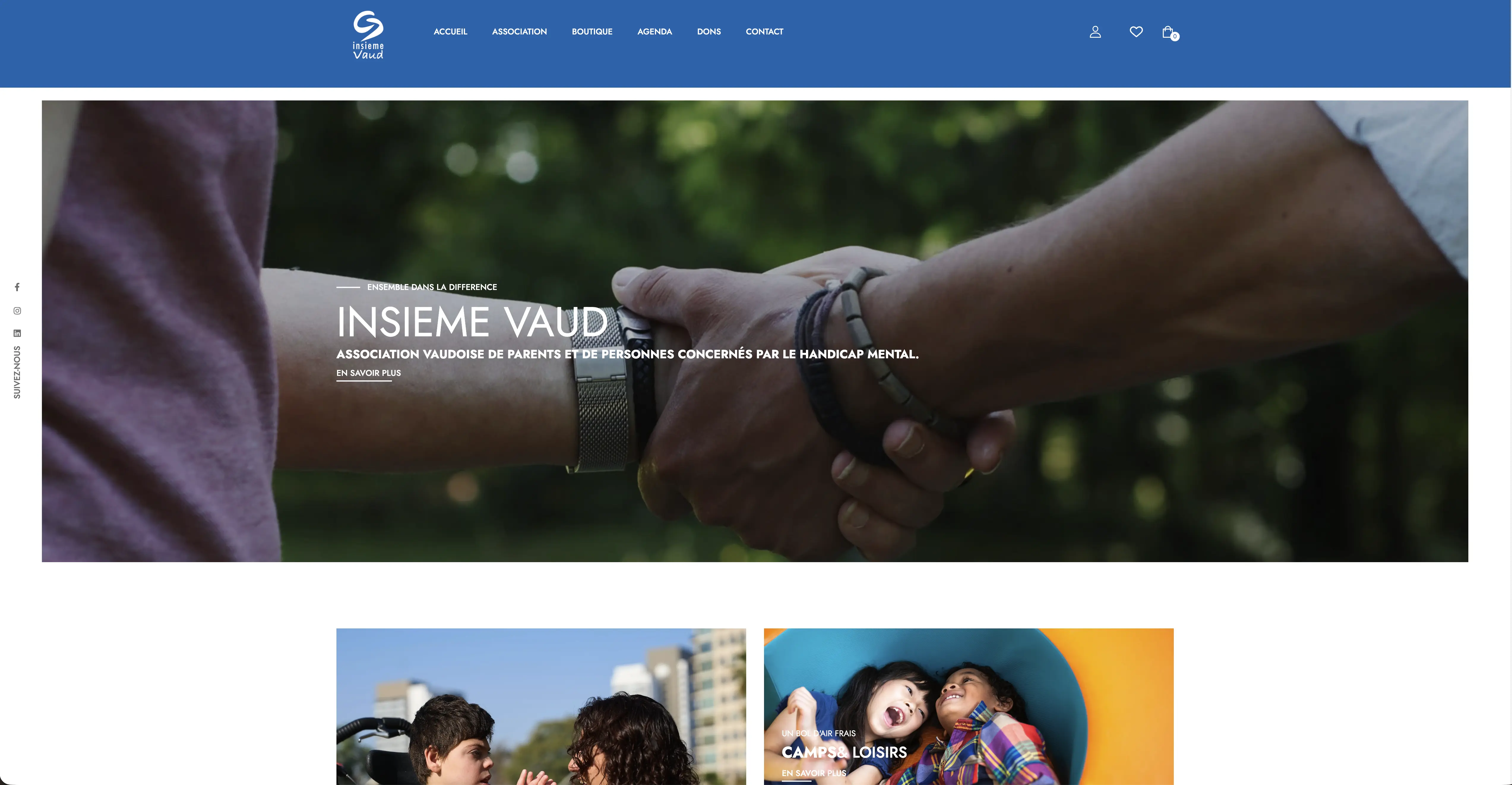Aperçu du site Insieme Vaud